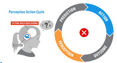 Perception action cycle new schema