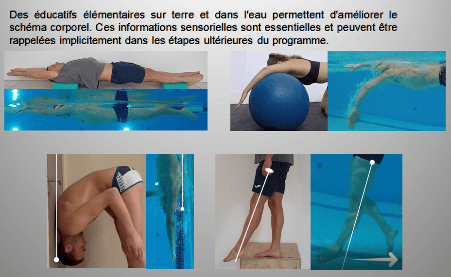 e-swimcoach
